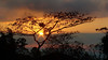 DSC00654